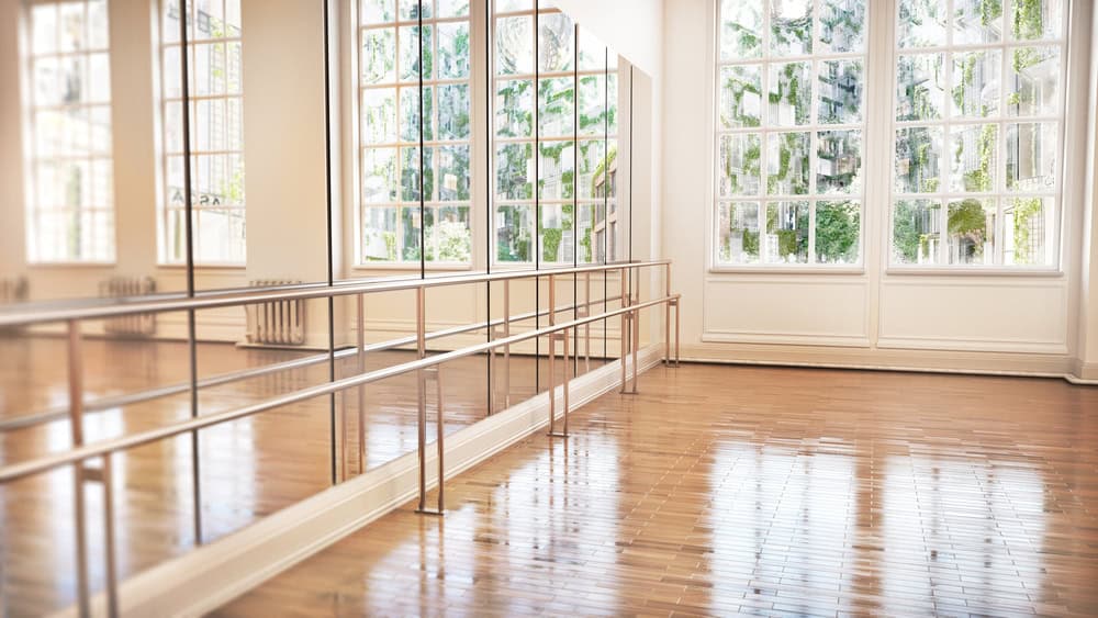 Gorgeous Well Lit Dance Space at home